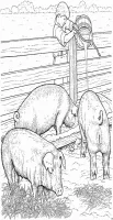 Op de boerderij kleurplaat 6